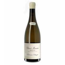 Batard-Montrachet  grand cru