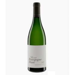 Bourgogne Chardonnay