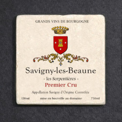 BLASON SAVIGNY - PHOTO
