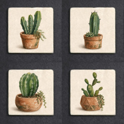 Le jardin cactus